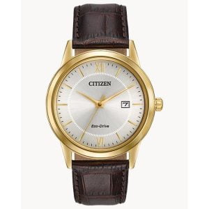 Eco-Drive Men's Watch: Stainless Steel with Yellow Tone and Leather Strap