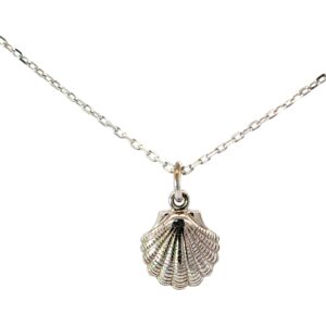 Sterling Silver rhodium plated petite shell pendant on 1.1mm diamond cut cable chain 18" with claw catch closure