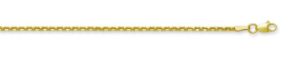 10kt yellow gold 1.66mm diamond cut cable chain with claw catch 20"