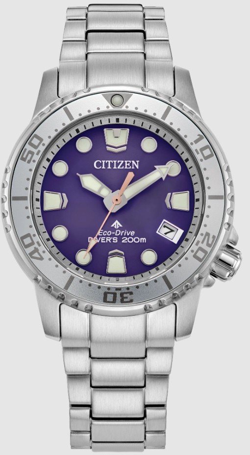 .jpg Ladies EcoDrive Citizen’s Promaster line, 37mm stainless steel purple with date dive watch 200WR