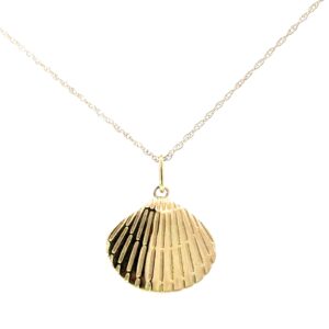 10kt yellow gold high polished shell pendant on machine made link chain with spring ring clasp