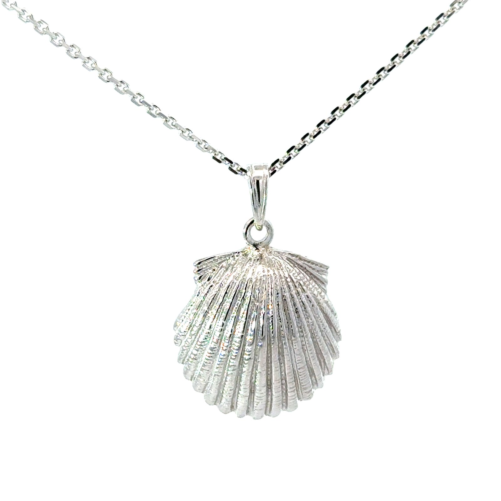 Sterling silver Scallop Shell pendant on 1.4mm diamond cut cable chain 18"